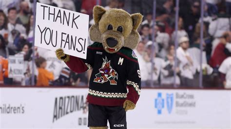 are the arizona coyotes moving